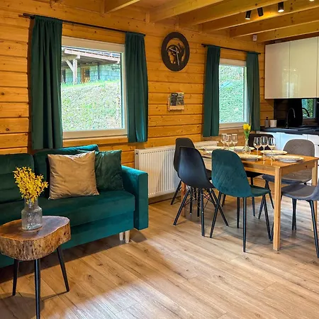 Villa Jelen Międzybrodzie Bialskie
