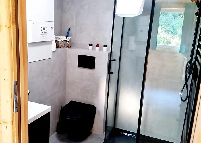 فيلة Jelen Międzybrodzie Bialskie